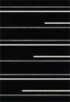 Area Rug Store Winnipeg